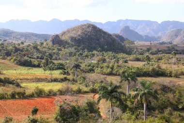 vinales, Küba
