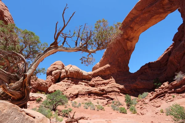 Národní park Arches — Stock fotografie