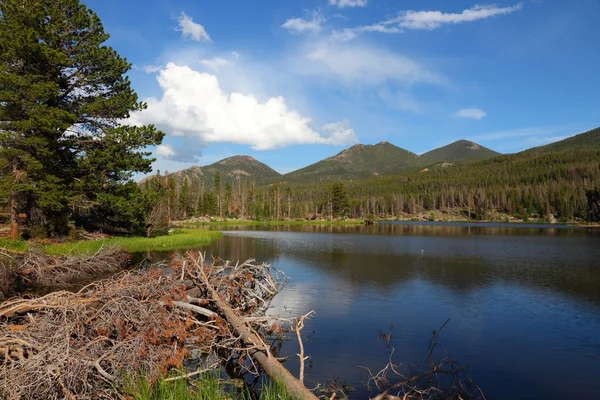 Sprague lake — Stockfoto