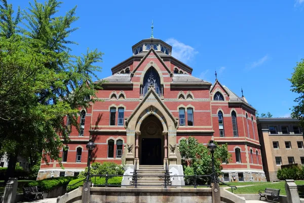 Universidade marrom — Fotografia de Stock