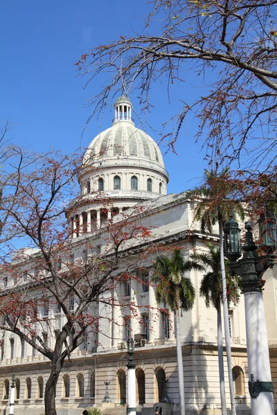 Havana — Fotografie, imagine de stoc