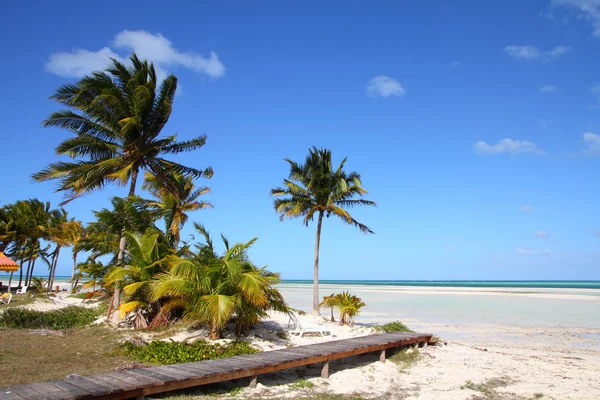 Caribbean resort Stock Photo