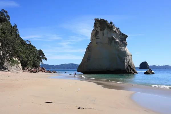 Új-Zéland strand — Stock Fotó