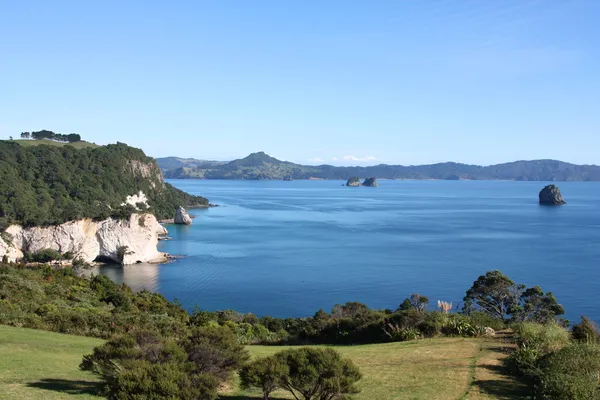 Coromandel, Nova Zelândia — Fotografia de Stock