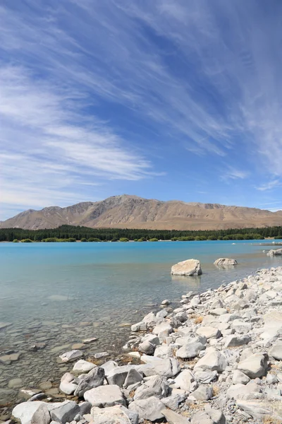 Nuova Zelanda paesaggio — Foto Stock