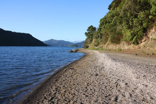 Picton, Nova Zelândia — Fotografia de Stock