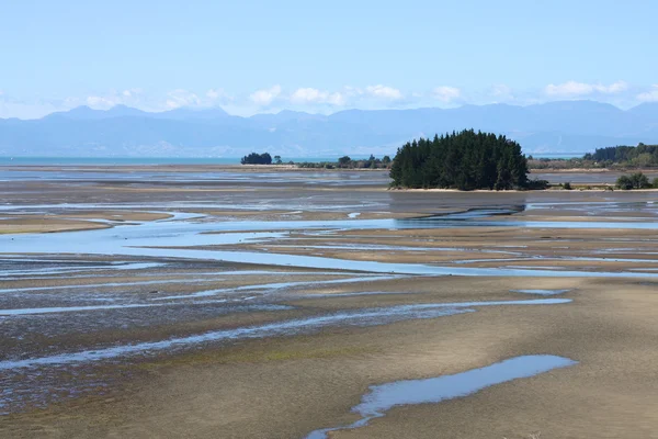 New Zealand mud flats — Stock Photo, Image