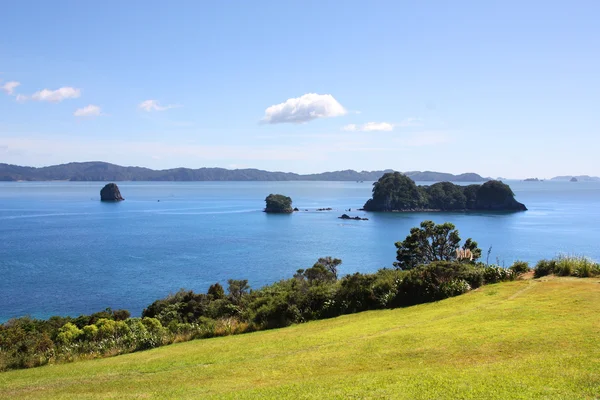 Новая Зеландия, Северный остров — стоковое фото
