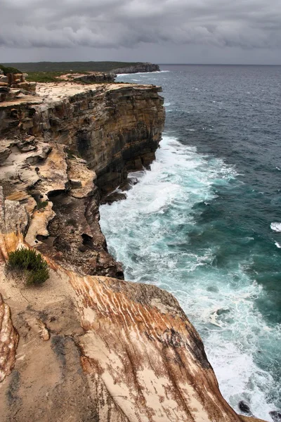 Royal National Park, Australien — Stockfoto