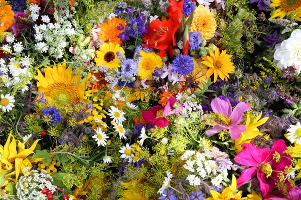 Composição da flor — Fotografia de Stock