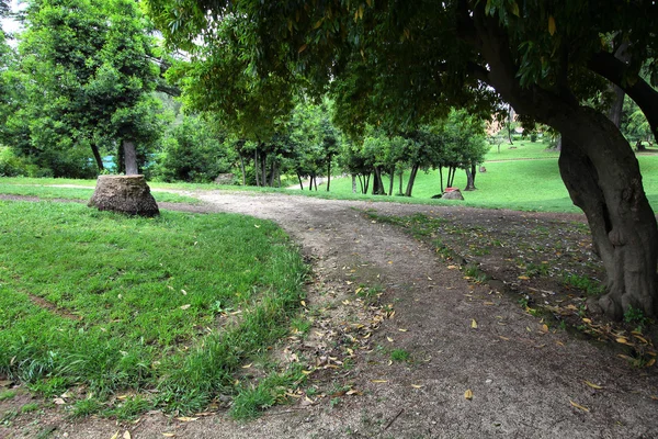 Park in rome, Italië — Stockfoto