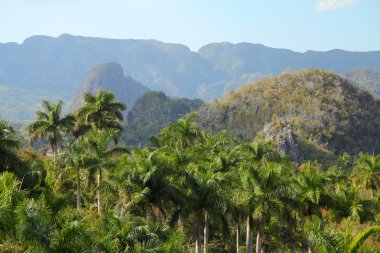 Küba - vinales Milli Parkı