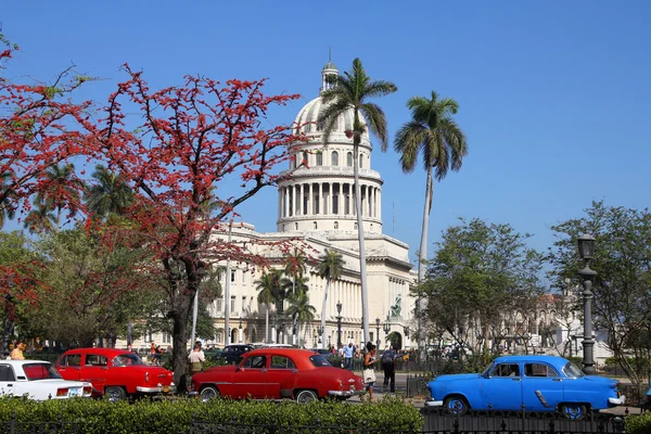 Kuba — Stock fotografie