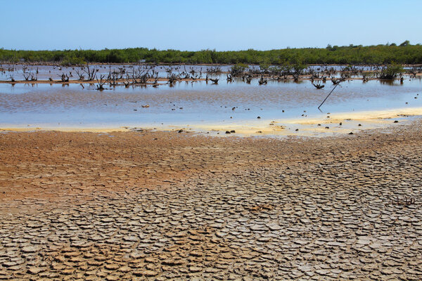 Природа Кубы
