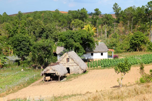 Cuba platteland — Stockfoto