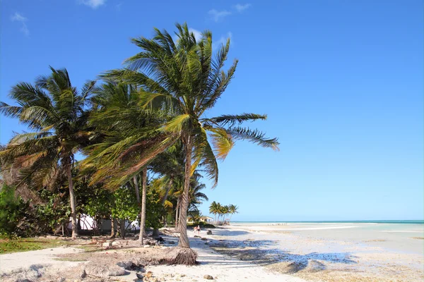 Kuba beach — Stock fotografie