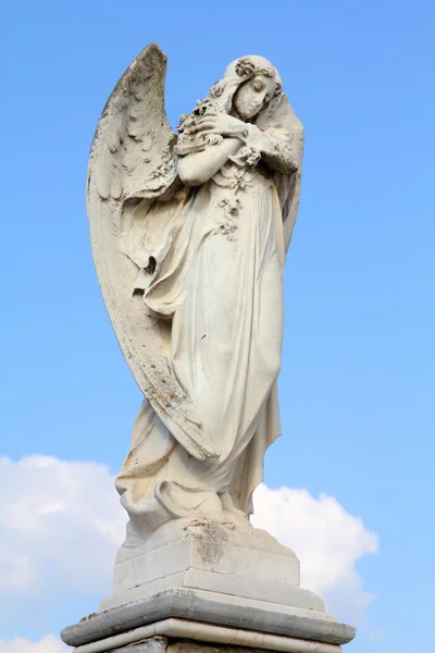 Estatua de ángel — Foto de Stock