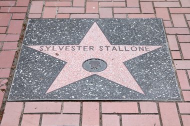 Sylvester stallone yıldız