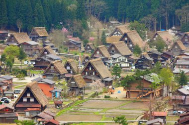 Japonca