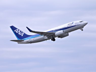 Ana Boeing 737