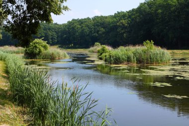 goluchow park, Polonya