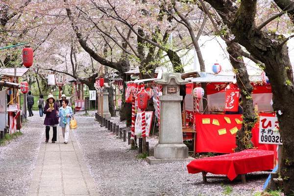 Sakura in Giappone — Foto Stock