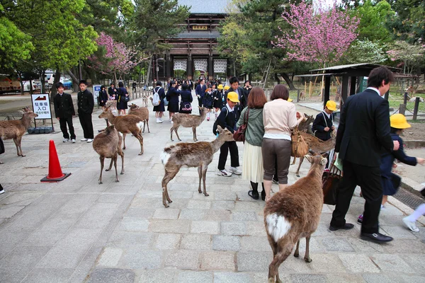 Nara Ordförande — Stockfoto