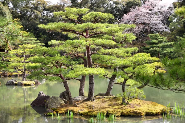 Kyoto, Japan — Stockfoto