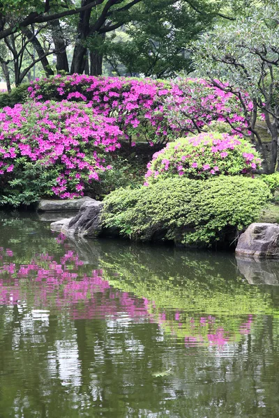 Tokyo trädgård — Stockfoto