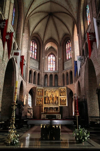 Catedral de Poznan — Foto de Stock