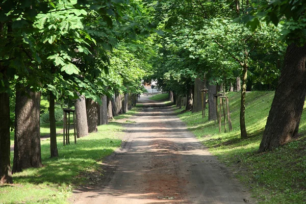 Stadspark in kalisz — Stockfoto