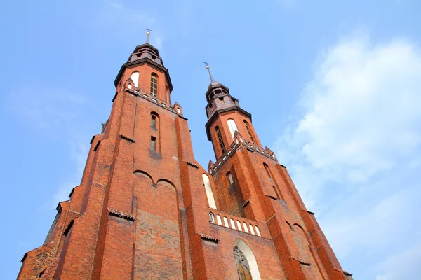 Opole-katedralen — Stockfoto