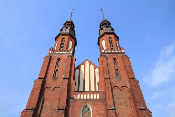 Opole cathedral — Stock Photo, Image