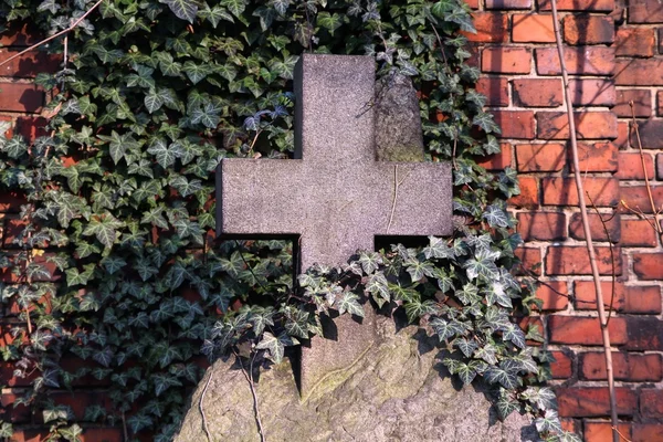 Old grave — Stock Photo, Image