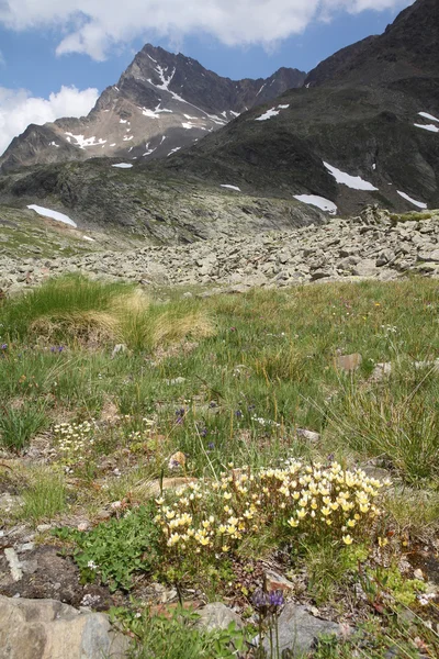 Italiaanse Alpen — Stockfoto