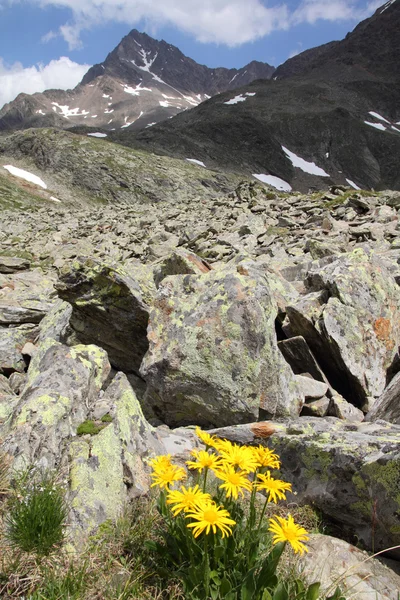 Alpes italiennes — Photo