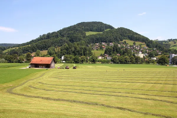 Platteland in Zwitserland — Stockfoto