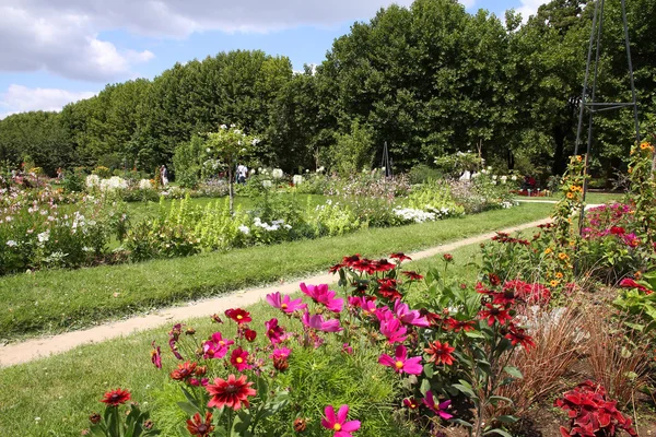 Париж - сад рослин — стокове фото