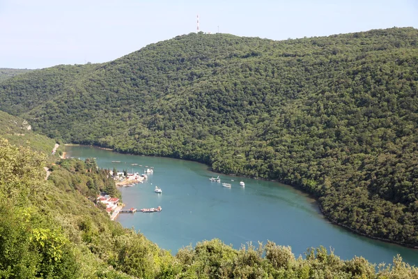 Хорватия - Лимский канал — стоковое фото