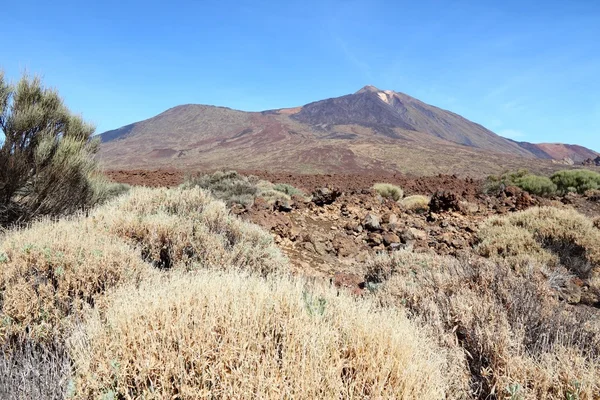 Mount Teide — Stock fotografie