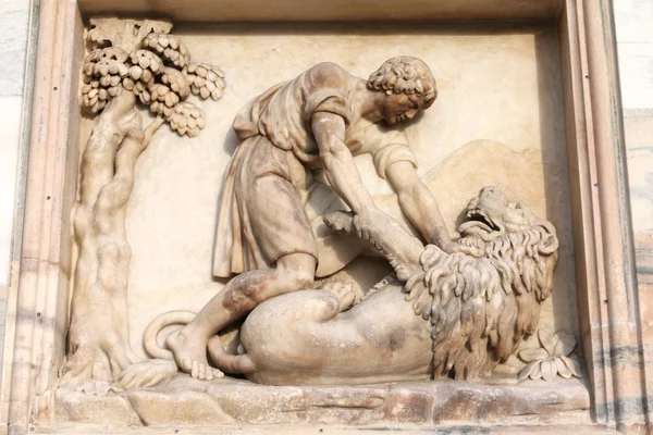 Samson killing the lion — Stock Photo, Image