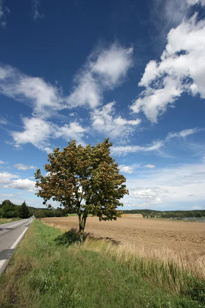 Czech Republic — Stock Photo, Image