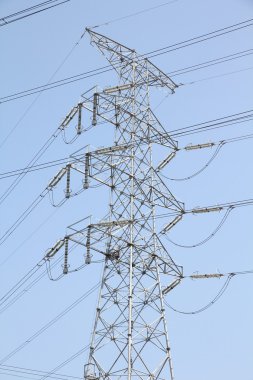 Elektrik, Japonya