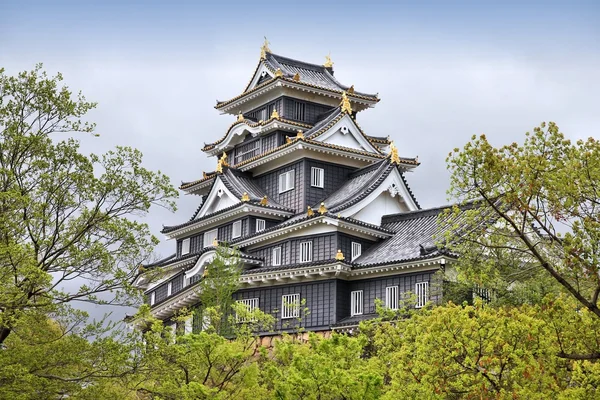 Okayama castle, Japan — Stock Photo, Image