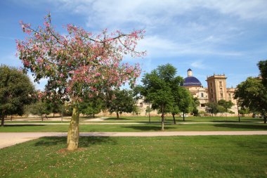 Valencia, İspanya