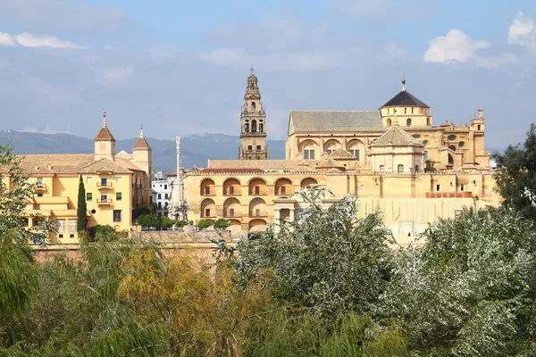 Cordoba, Španělsko — Stock fotografie