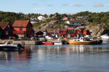 Norveç