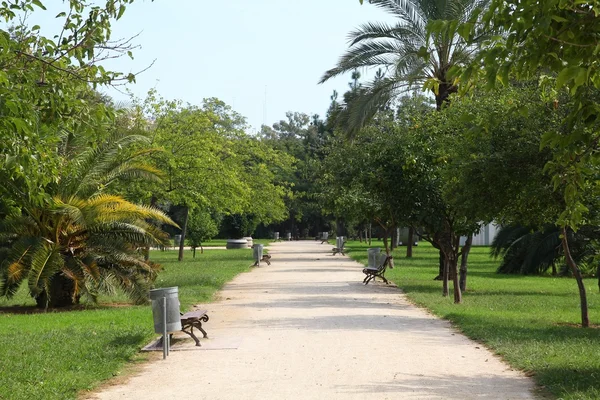 Turia gärten in valencia, spanien — Stockfoto