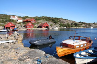 Norveç