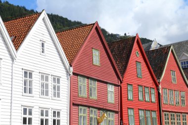 Norveç - bergen